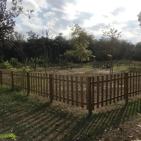 Appartement Grande Con Giardino Fronte Pineta Viareggio