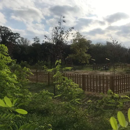 Grande Con Giardino Fronte Pineta Appartement Viareggio