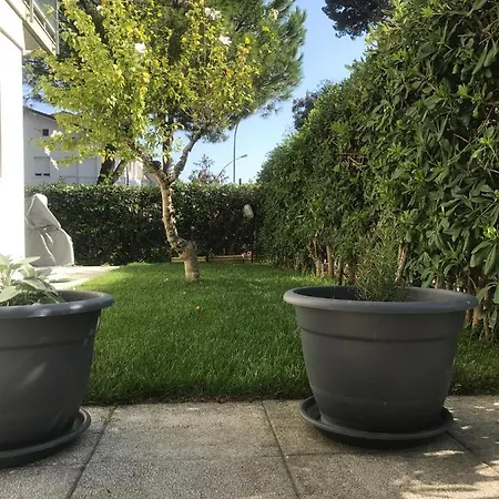 Grande Con Giardino Fronte Pineta *