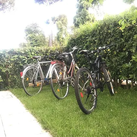Appartement Grande Con Giardino Fronte Pineta